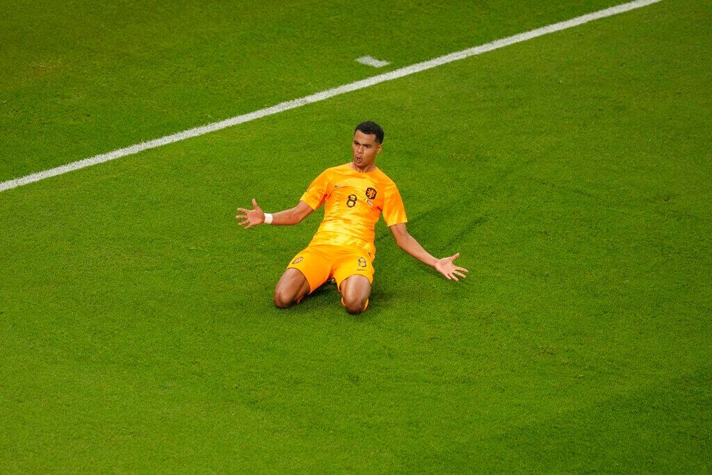 APTOPIX WCup Senegal Netherlands Soccer